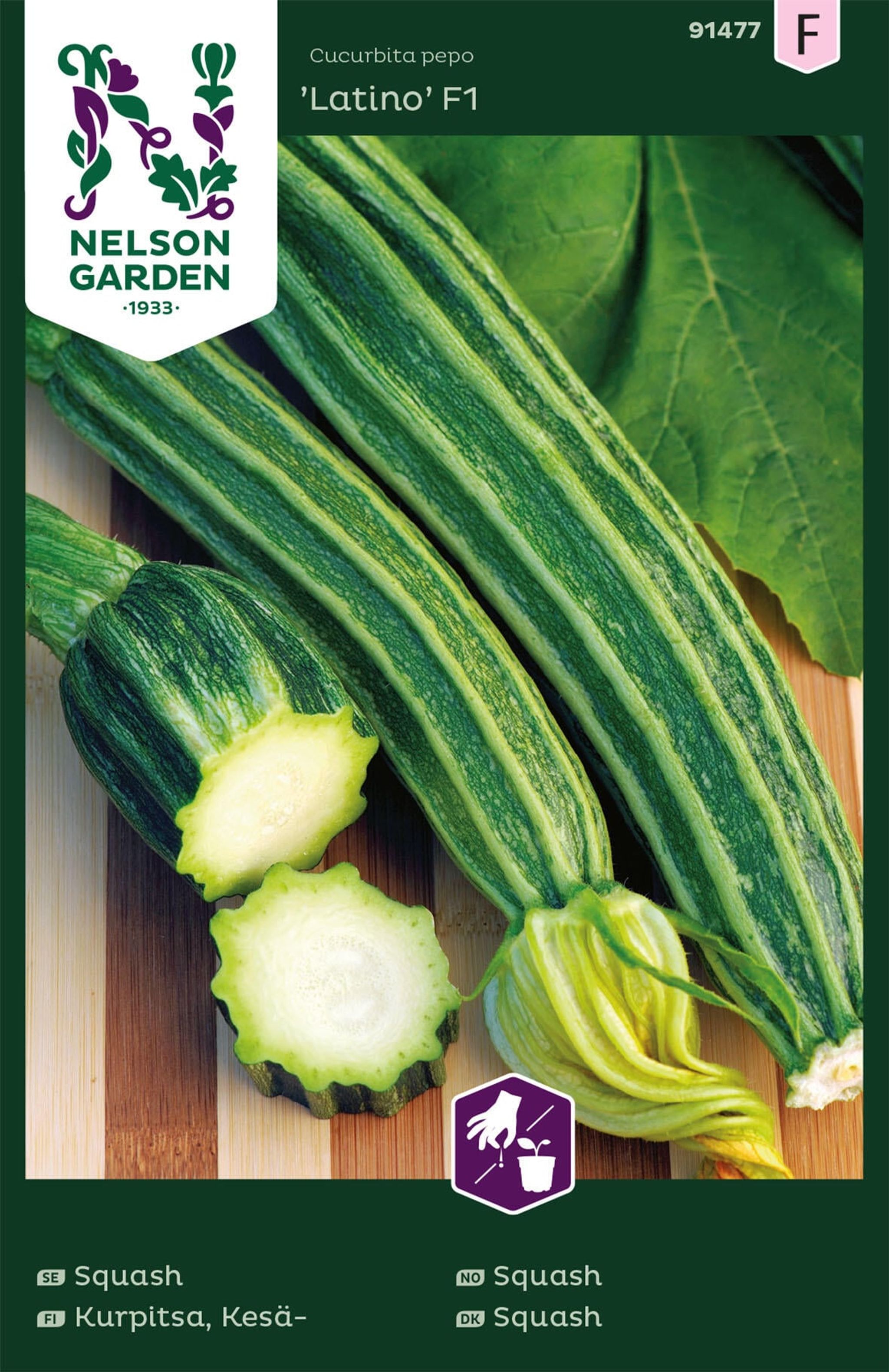 Squash