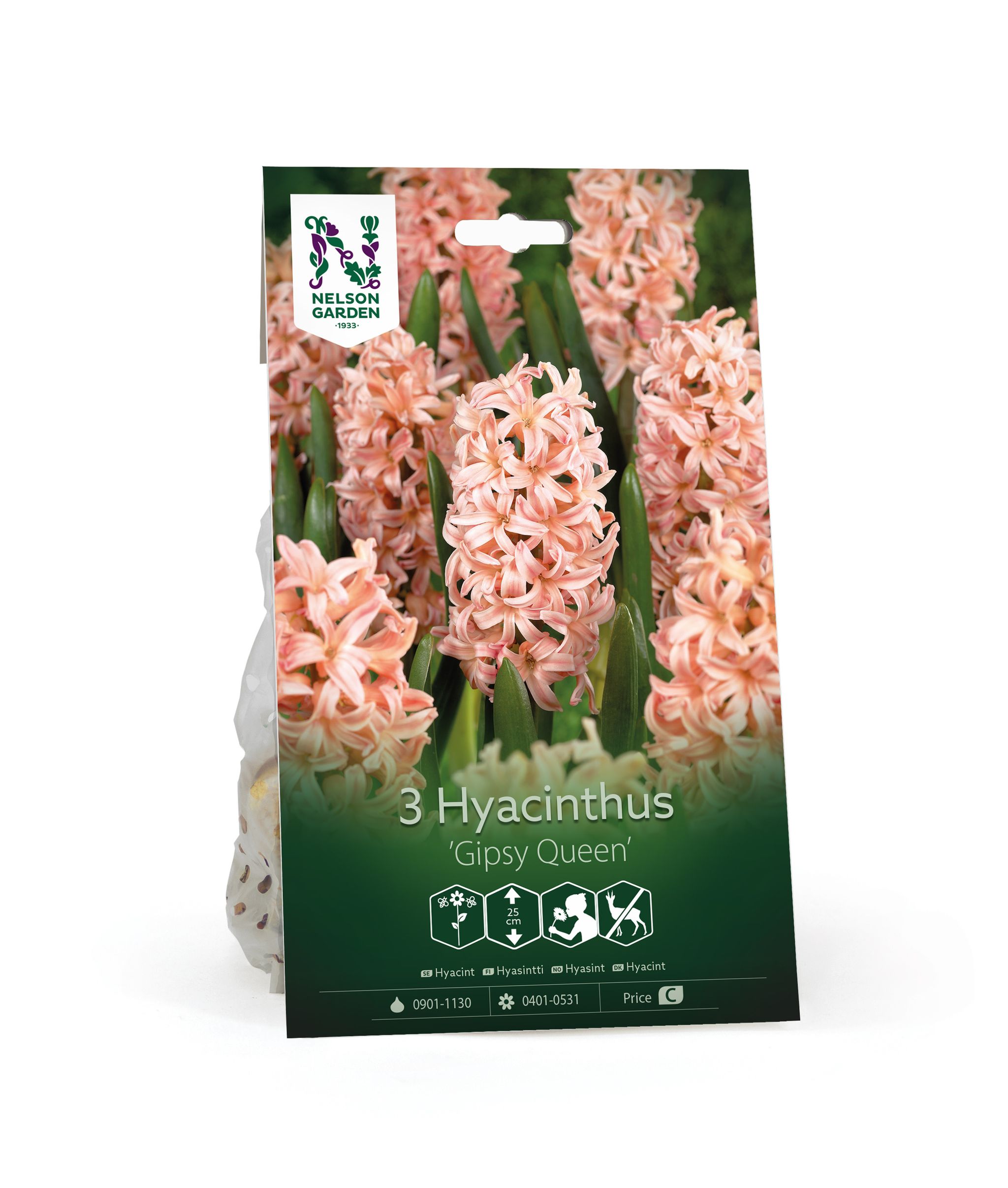 Hyasintti