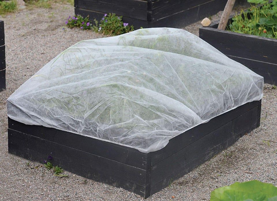 Skydda dina plantor från frost