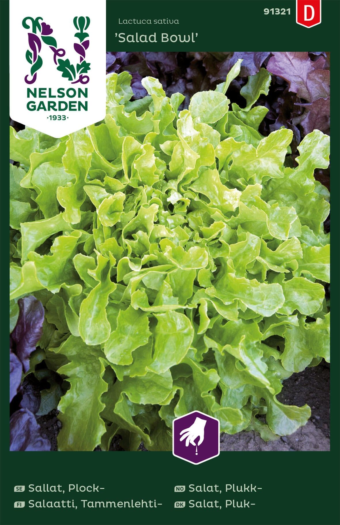 Bladsalat 1