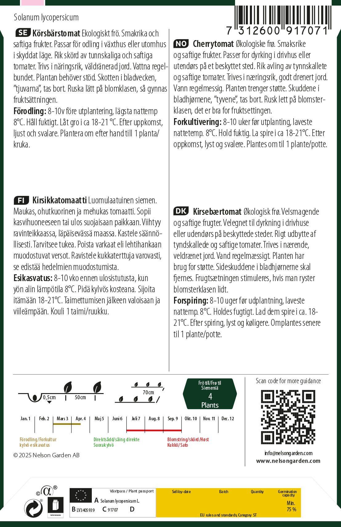 Körsbärstomat 4