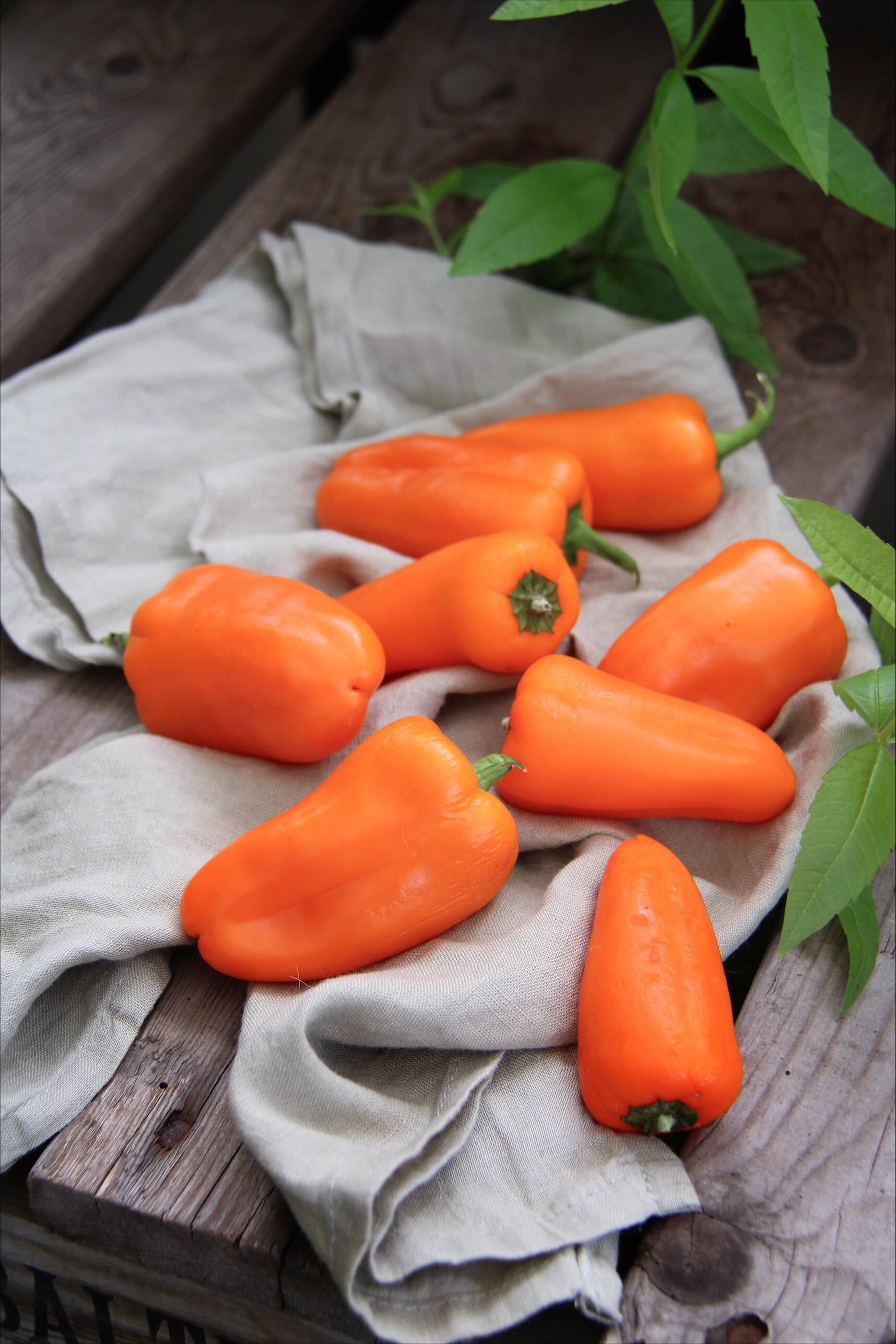 Pottepaprika 2