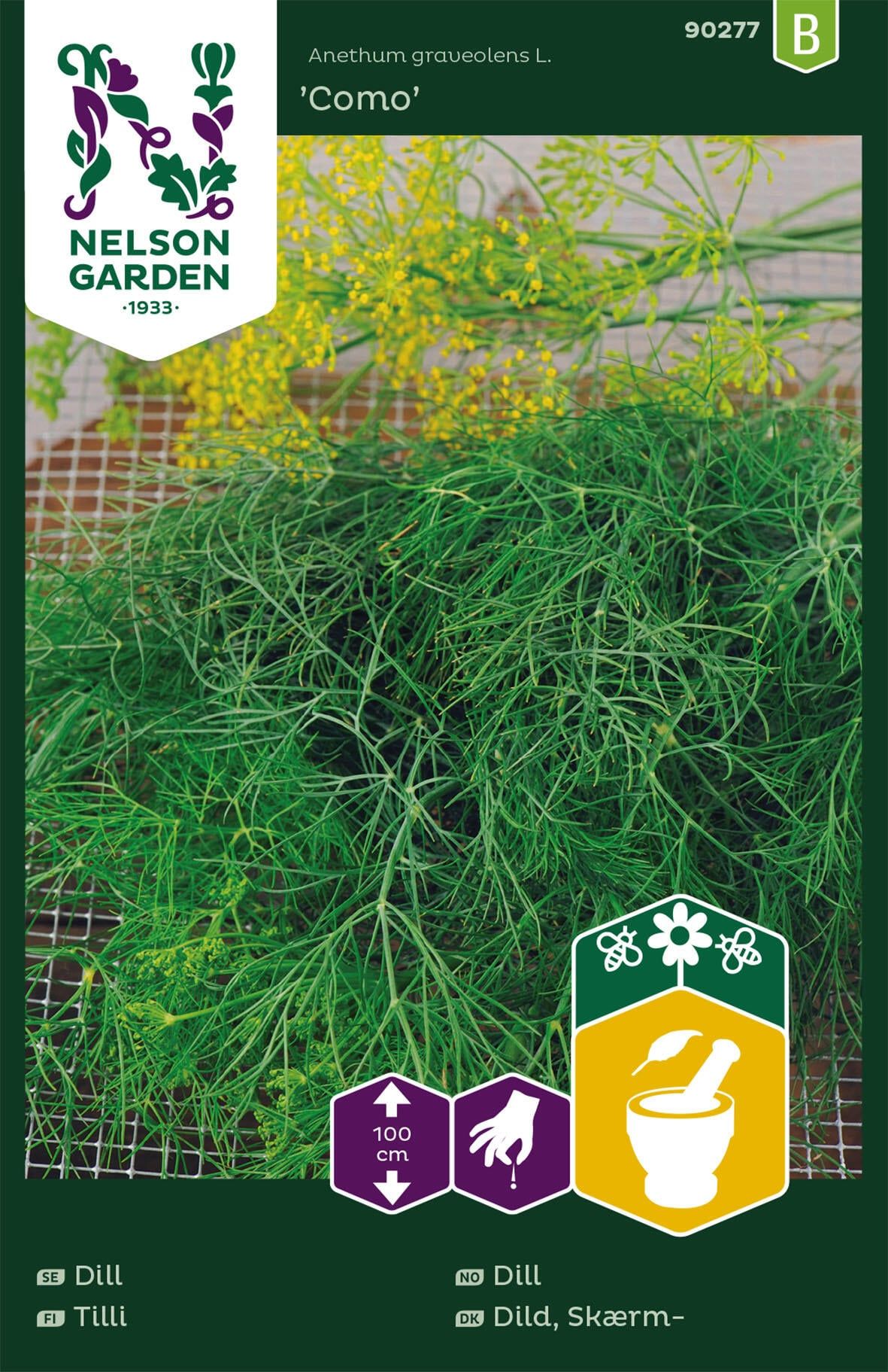 Dill 1