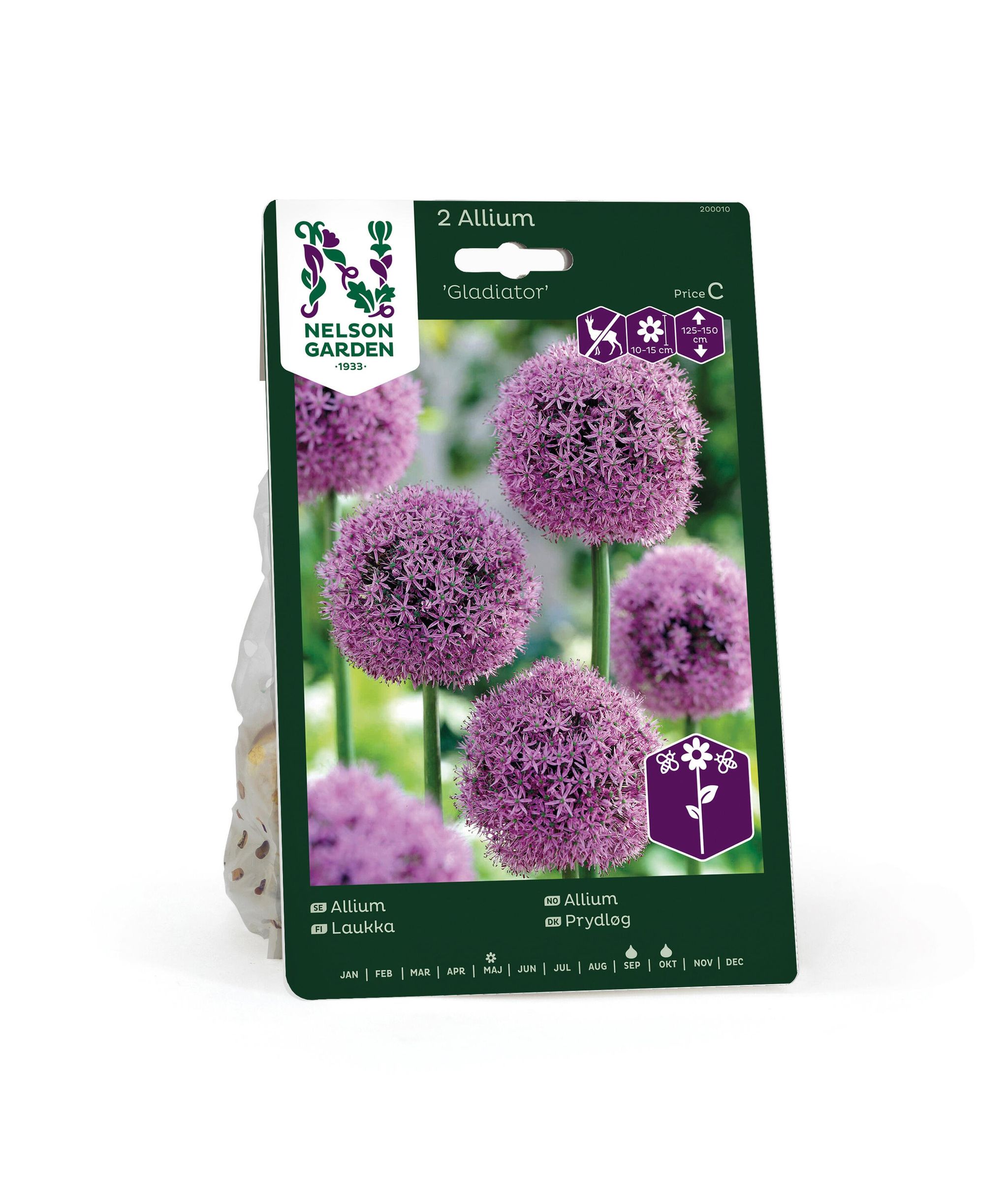 Allium