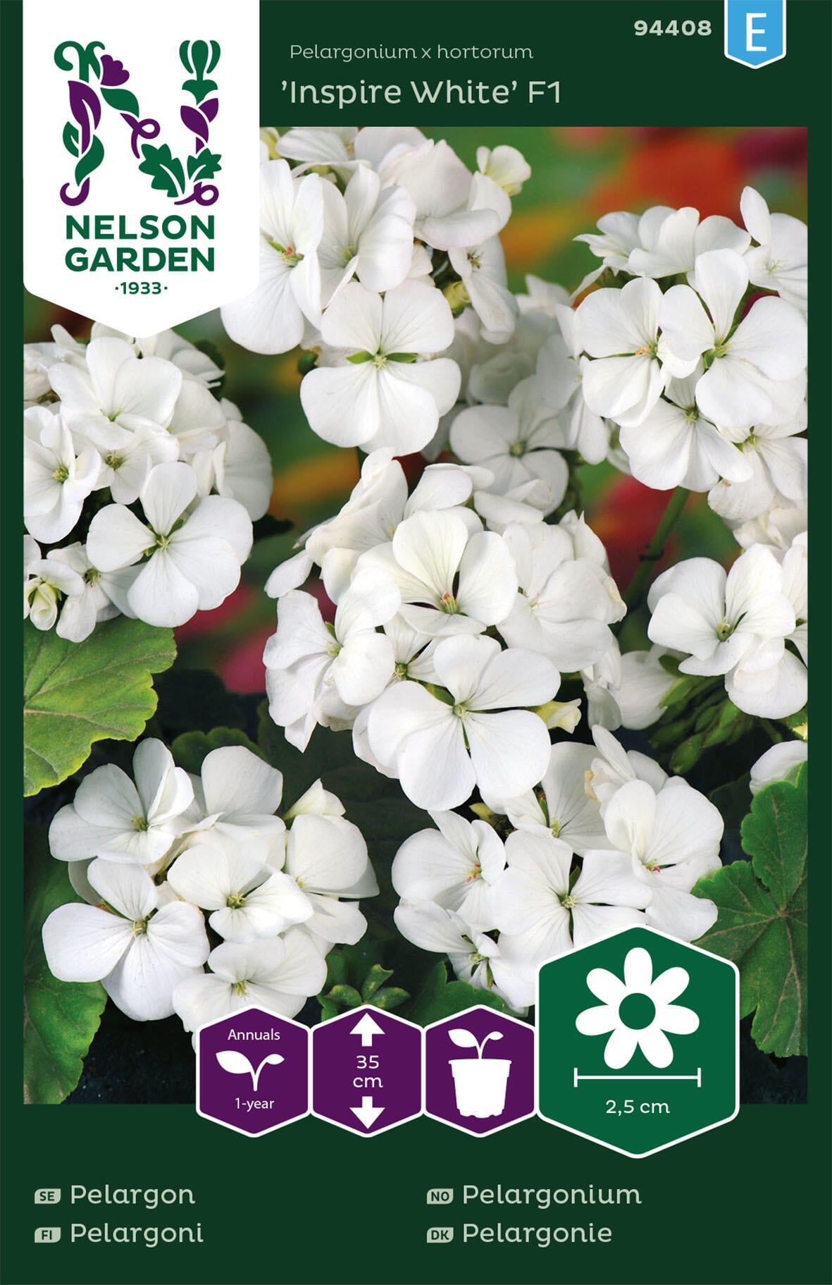 Hagepelargonium 1