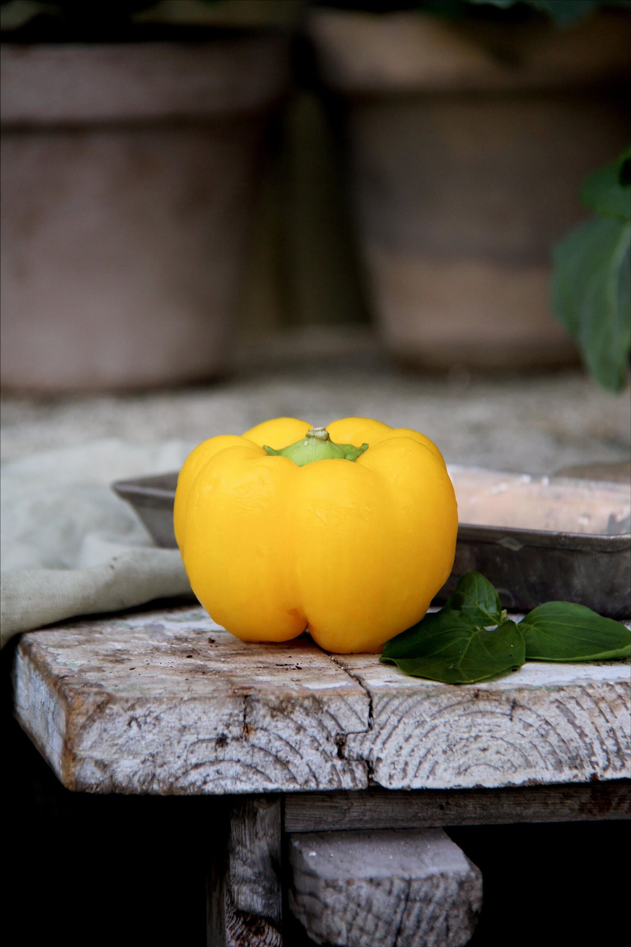Paprika