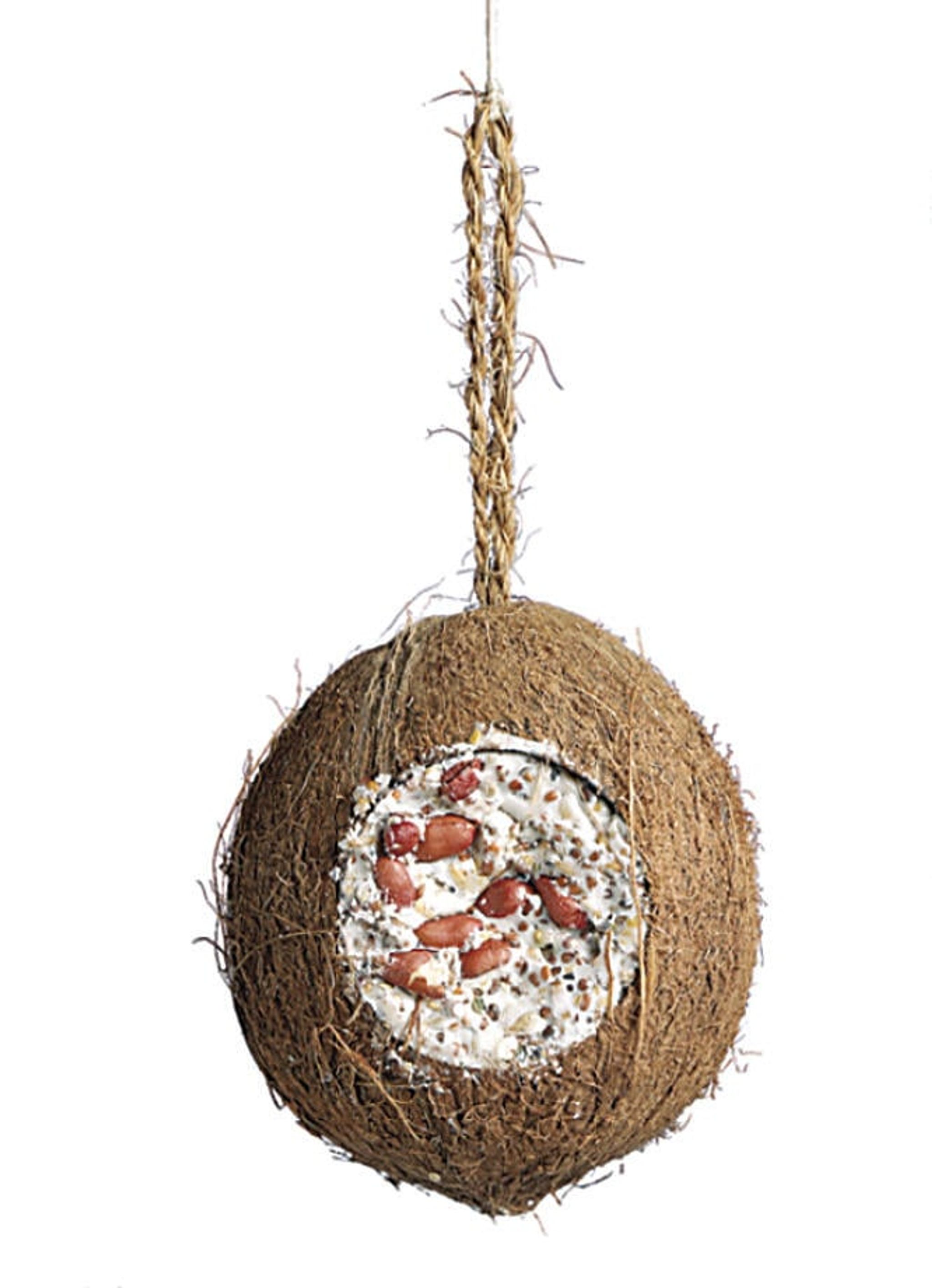 Fylld kokosnöt