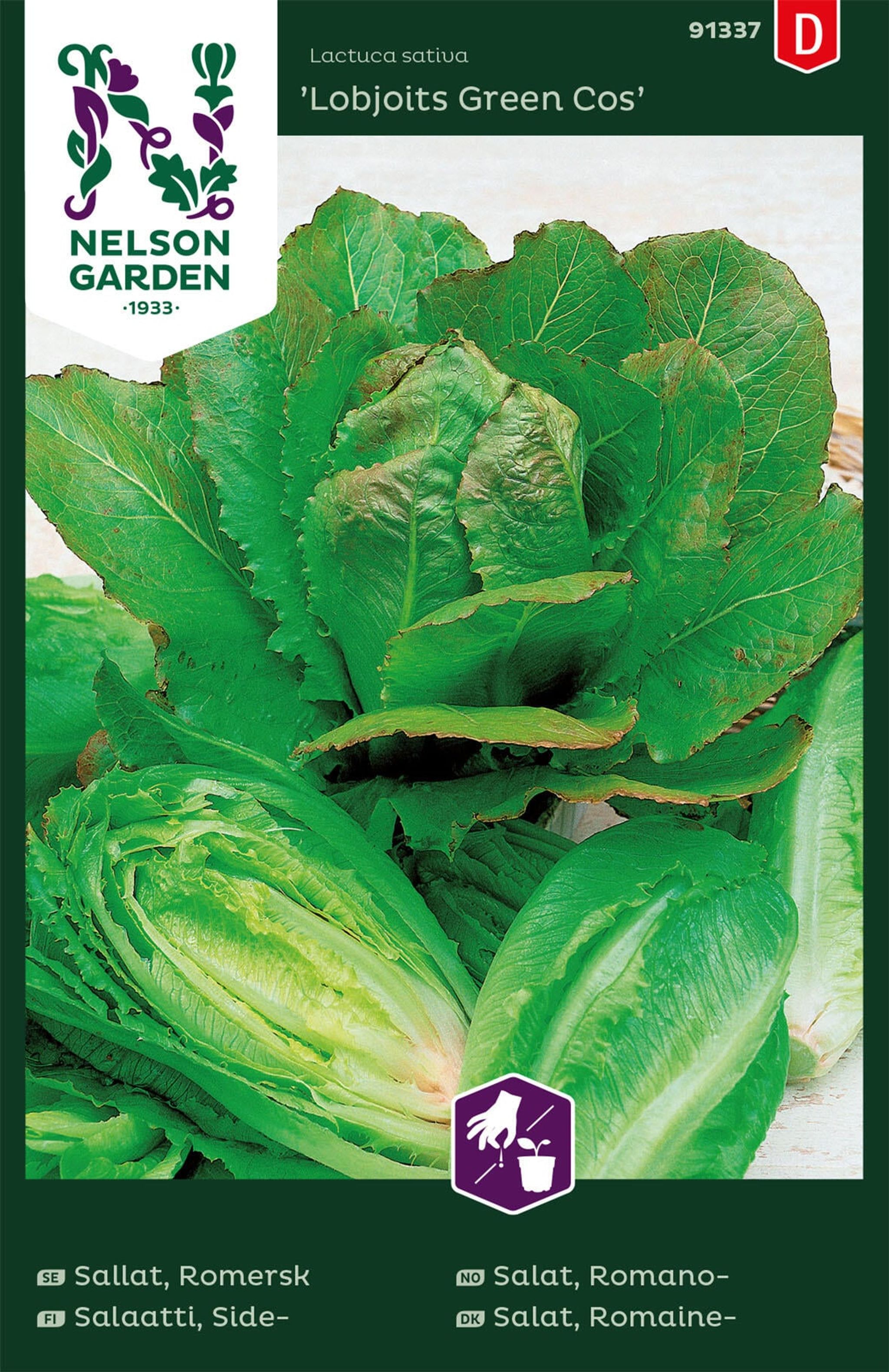 Romanosalat