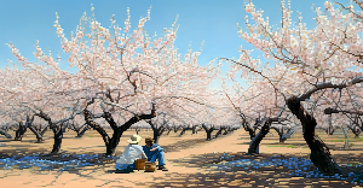 A close-up of an almond orchard in California with blossoms and dry ground, featuring a farmer inspecting the trees.