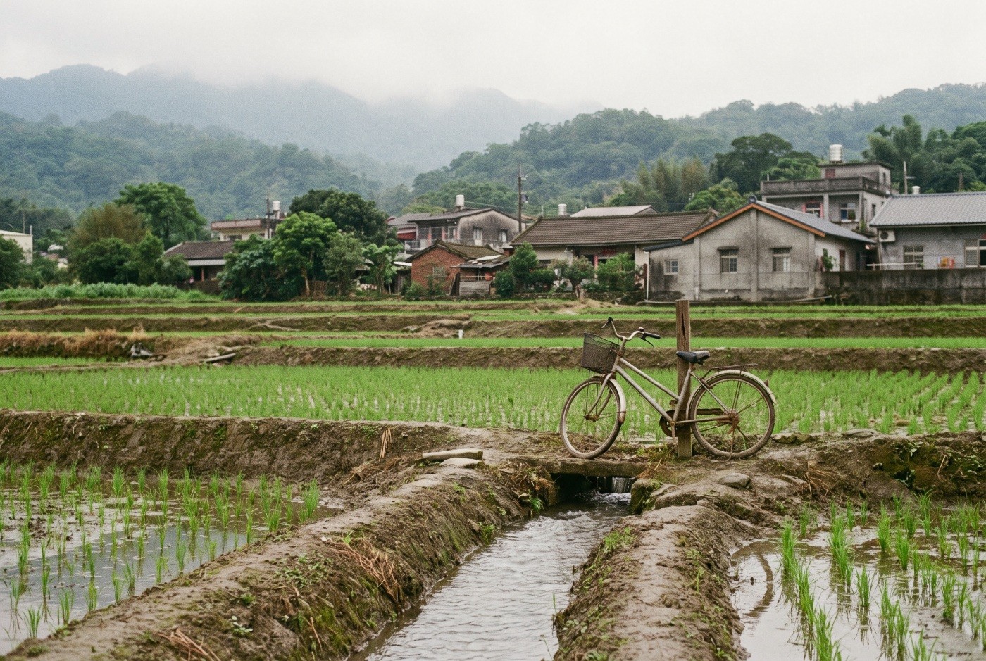 Illustration: A bicycle beside an irrigation channel.