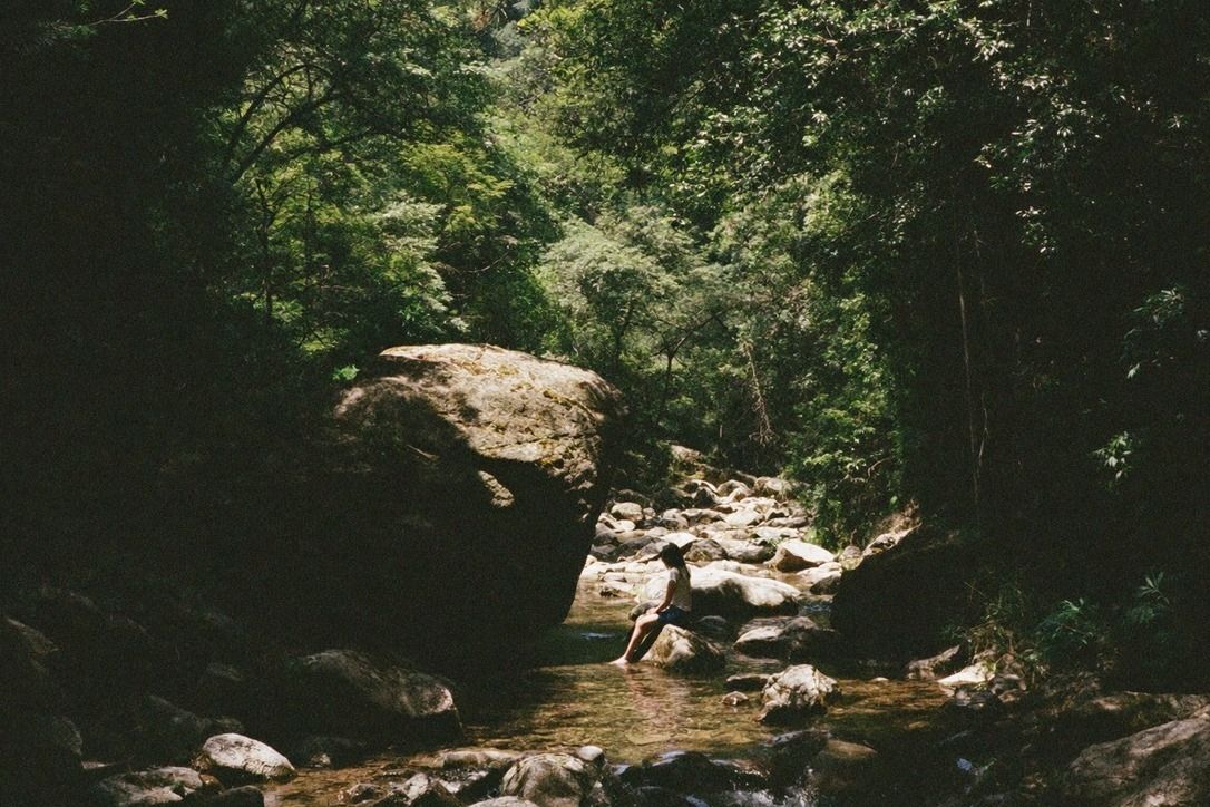 Clear mountain river running through a steep forested valley with mossy boulders and dappled shade on shallow water