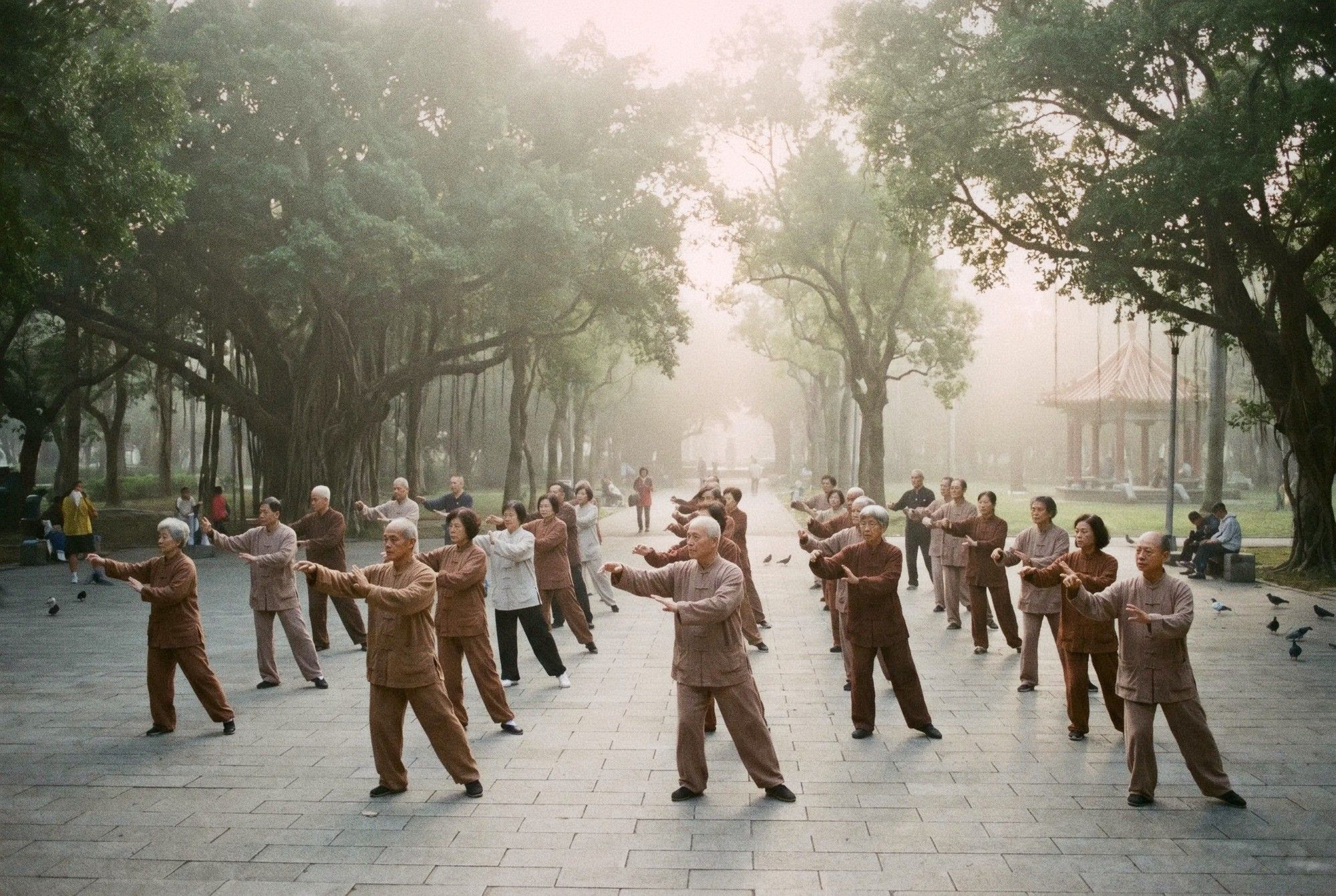 Group of elderly people practicing tai chi in Da'an Forest Park Taipei at dawn