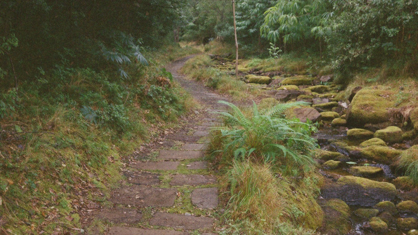 Analogue-style generated illustration of a damp woodland path beside a mossy stream.