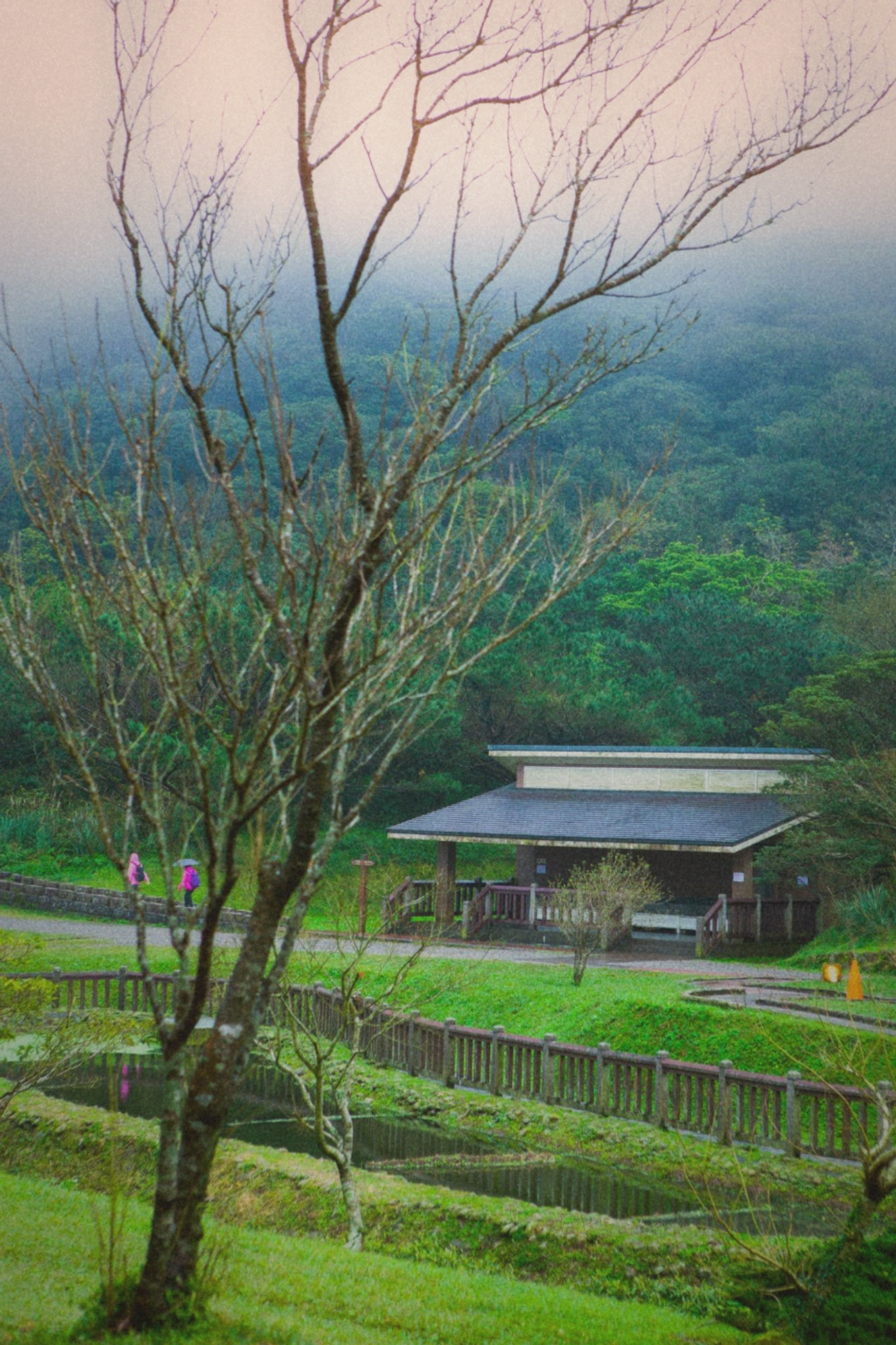 Erziping barrier-free trail through lush green forest
