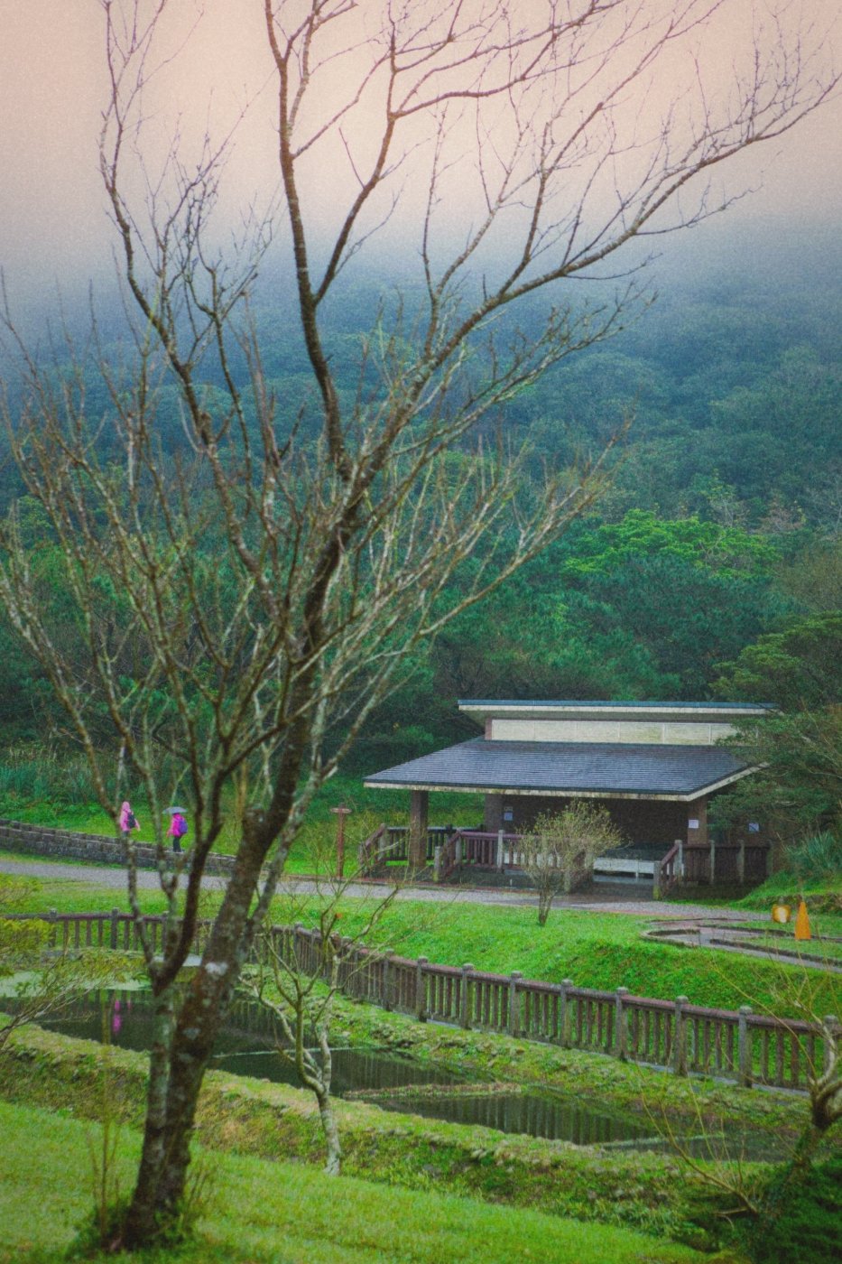 Erziping barrier-free trail through lush green forest