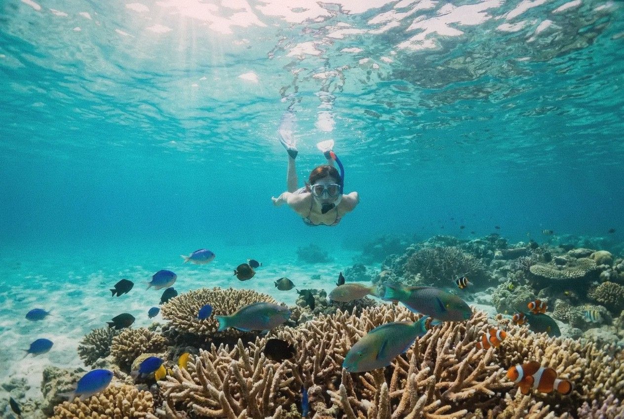 Snorkeling in crystal clear turquoise water near Penghu Islands with coral reef and tropical fish