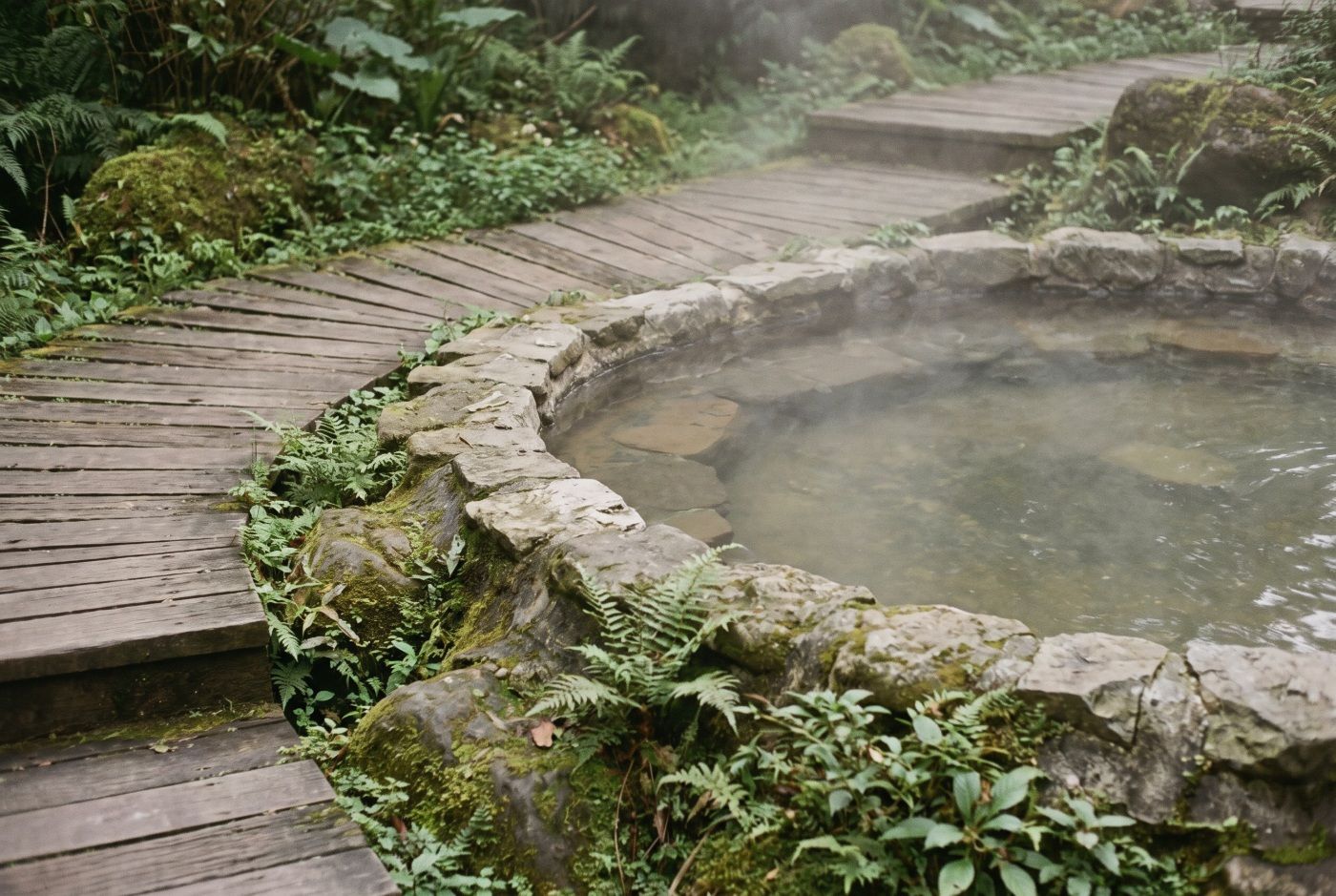 Hot Springs and Temple Stays: Taiwan's Two Kinds of Quiet