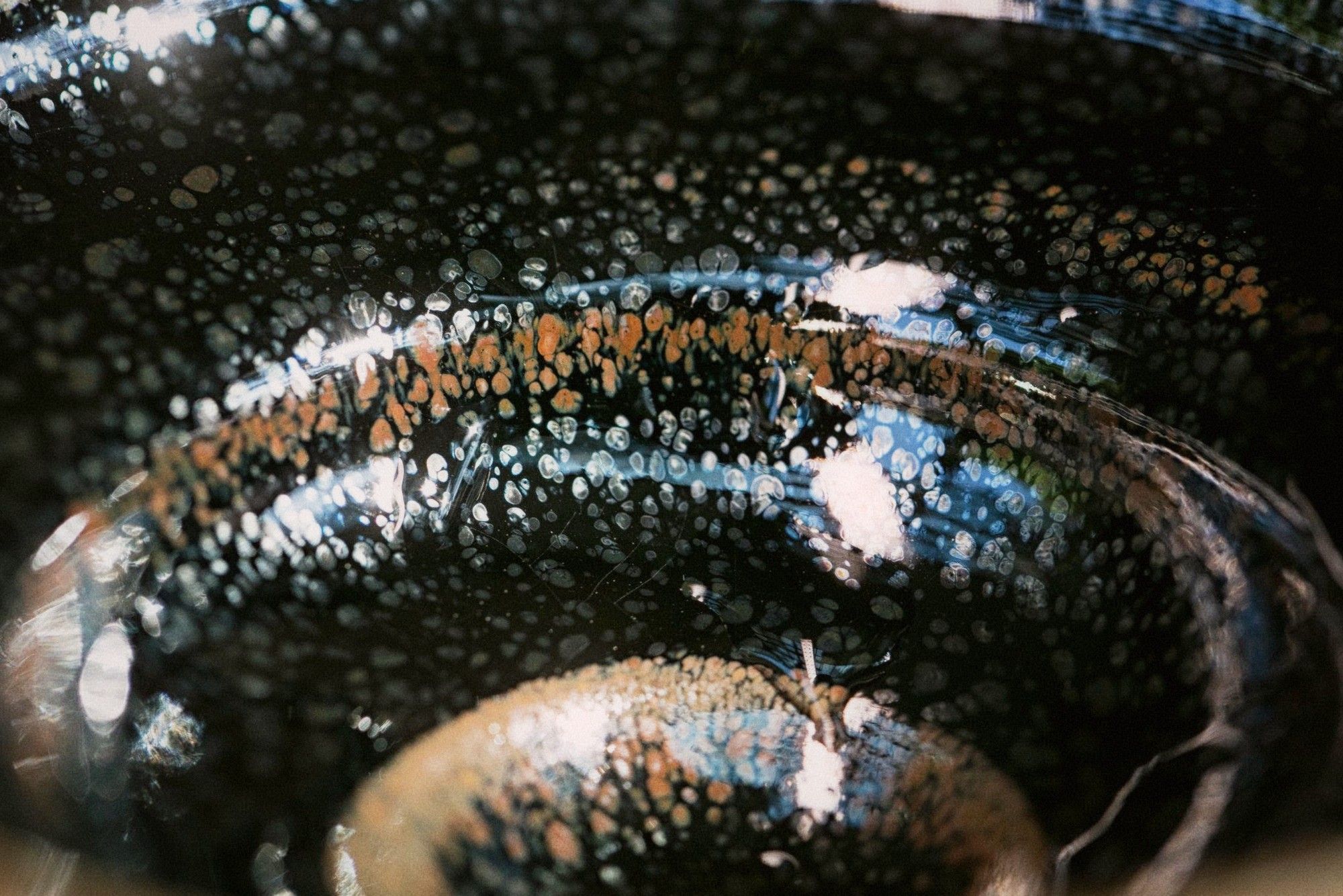 Ceramic tea cups arranged on a weathered wooden surface with soft morning light