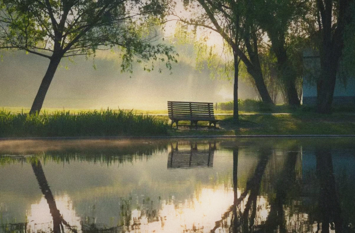 Morning light in an urban park, a bench beside a walking path, trees overhead