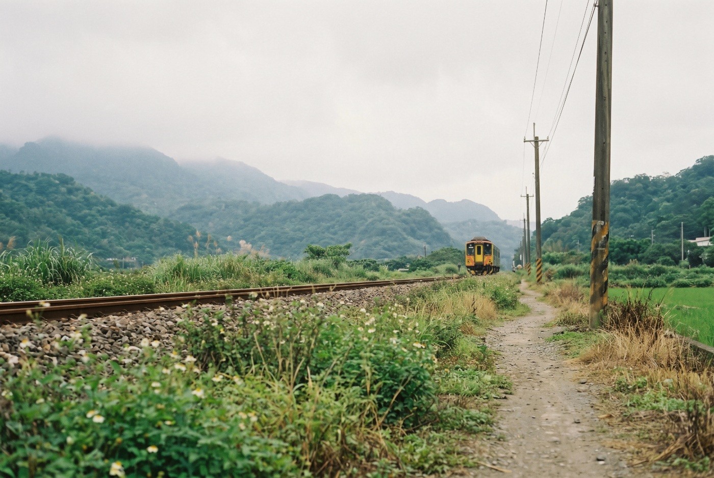Illustration: A local train approaching through green hills.