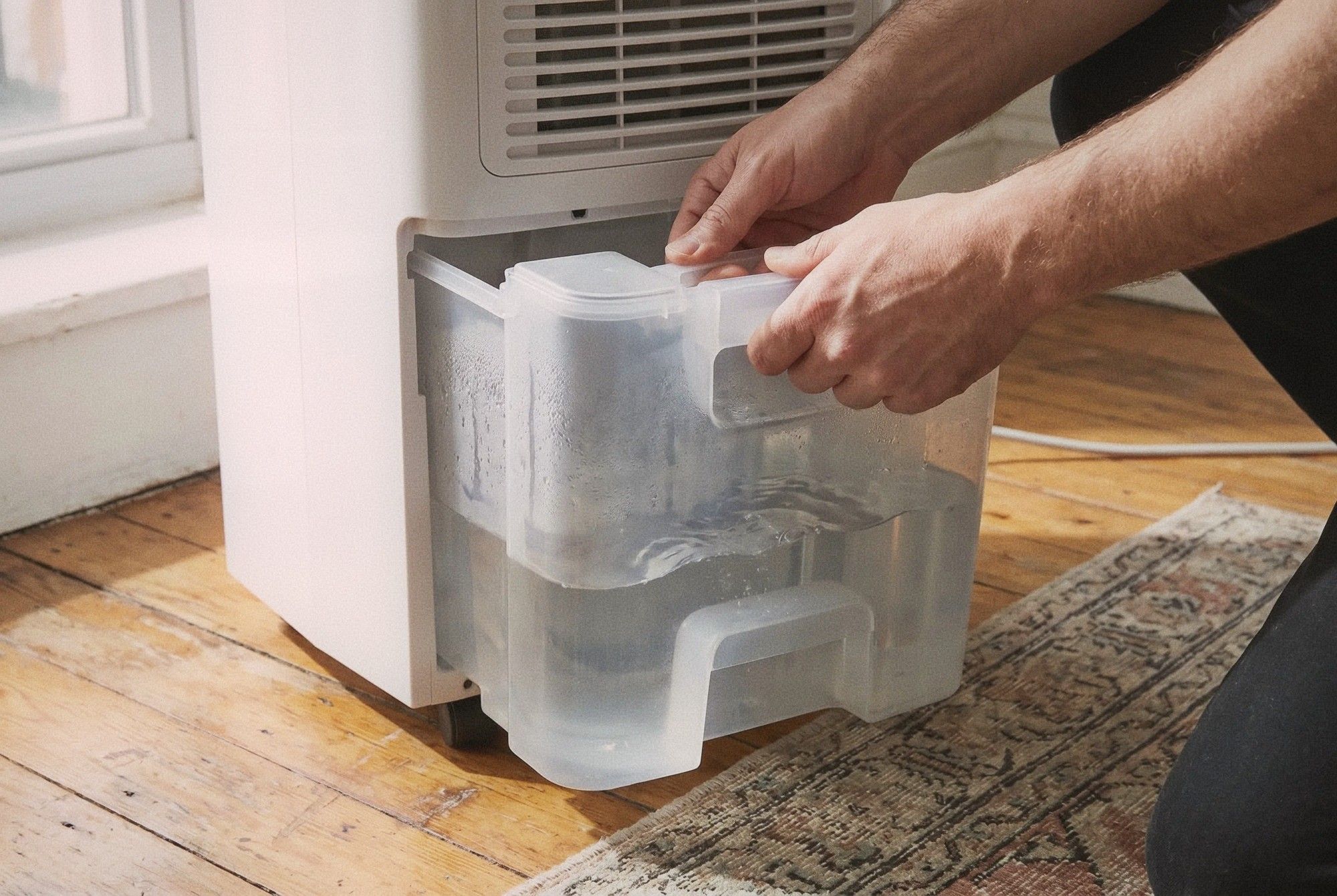 Close-up of hands pulling out a full water tank from a dehumidifier