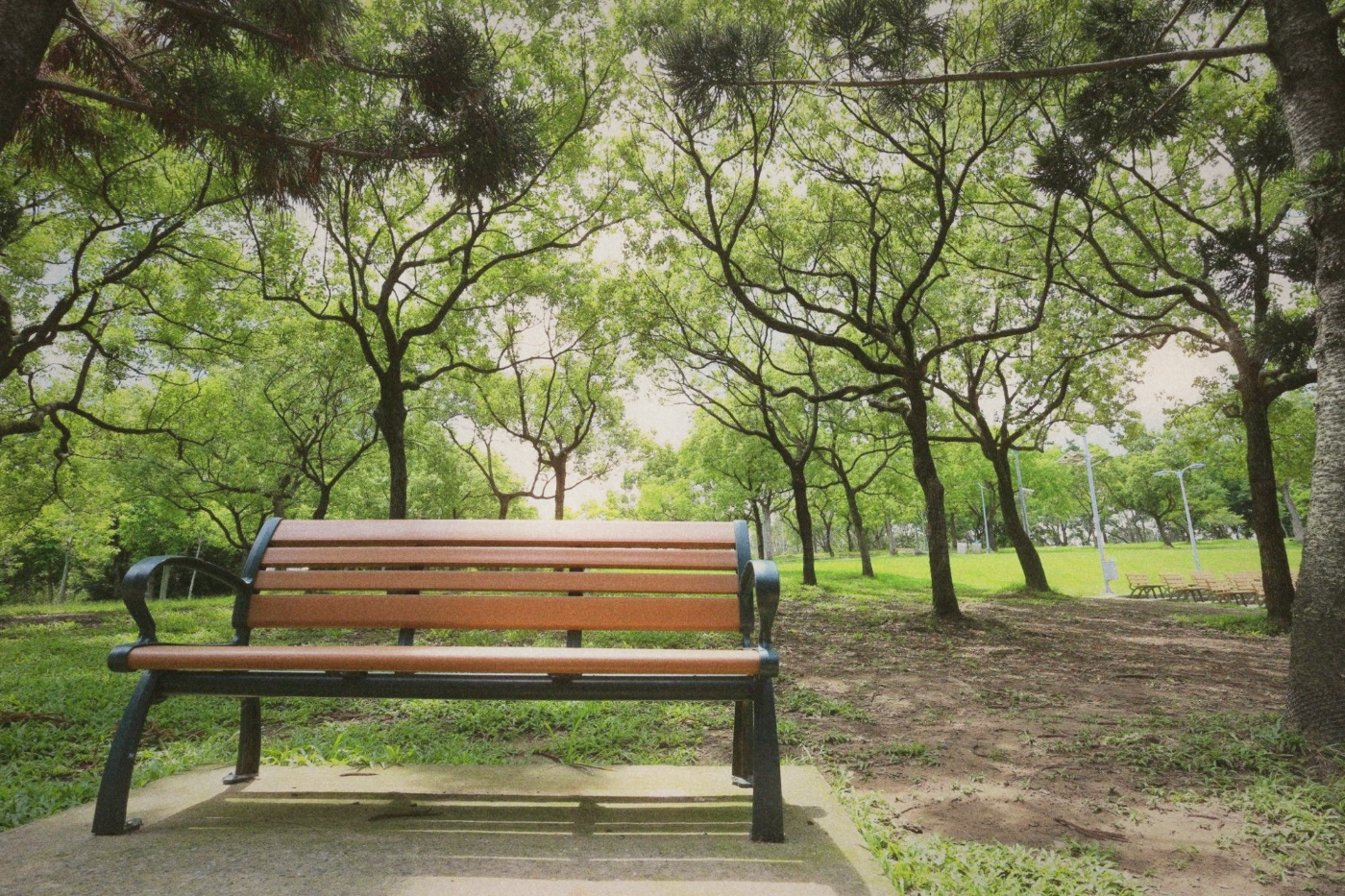 A person sitting on a park bench in early morning light, trees and a pond in the background