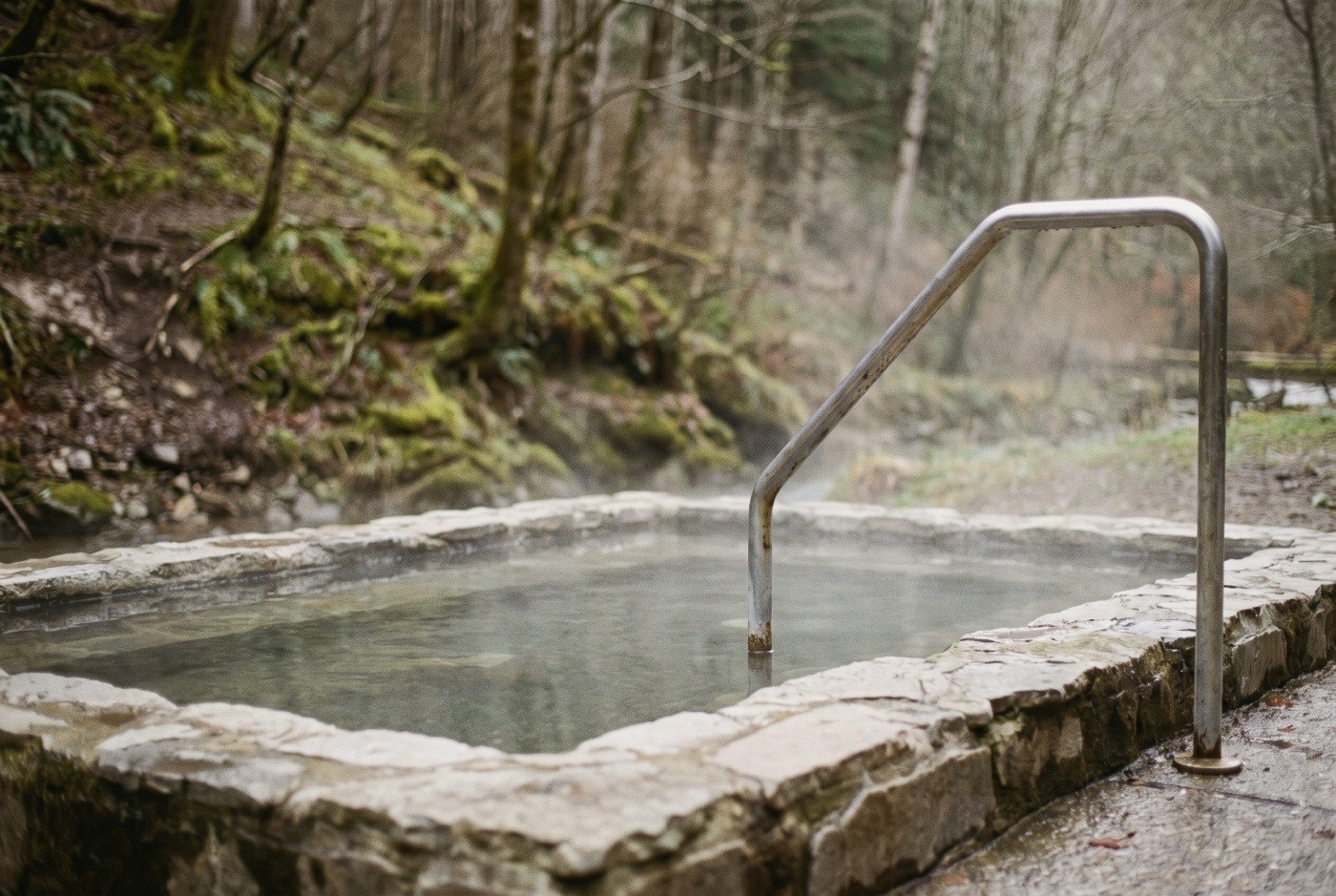 Illustration: An outdoor bath surrounded by trees.