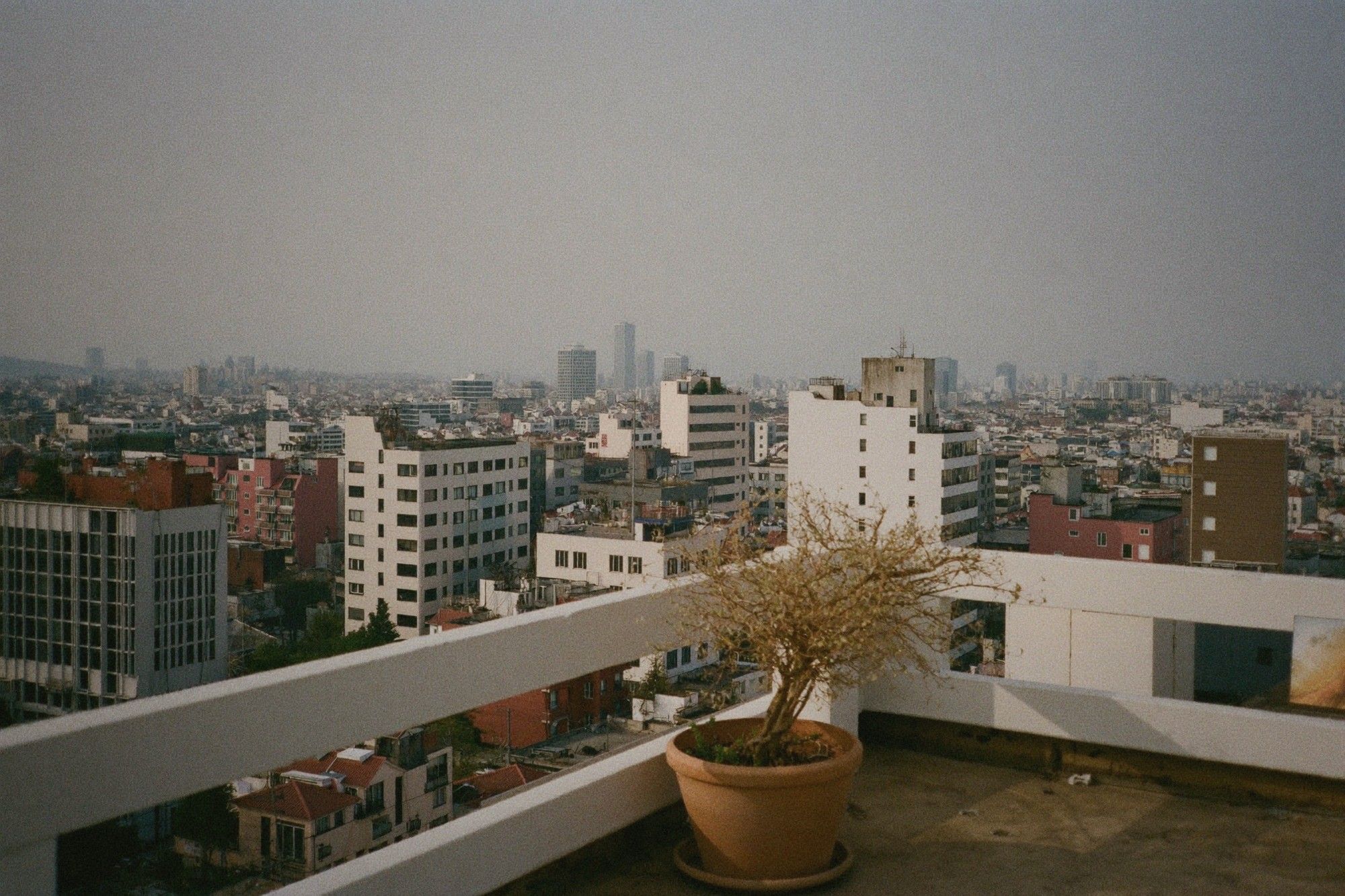 Hazy Taipei skyline