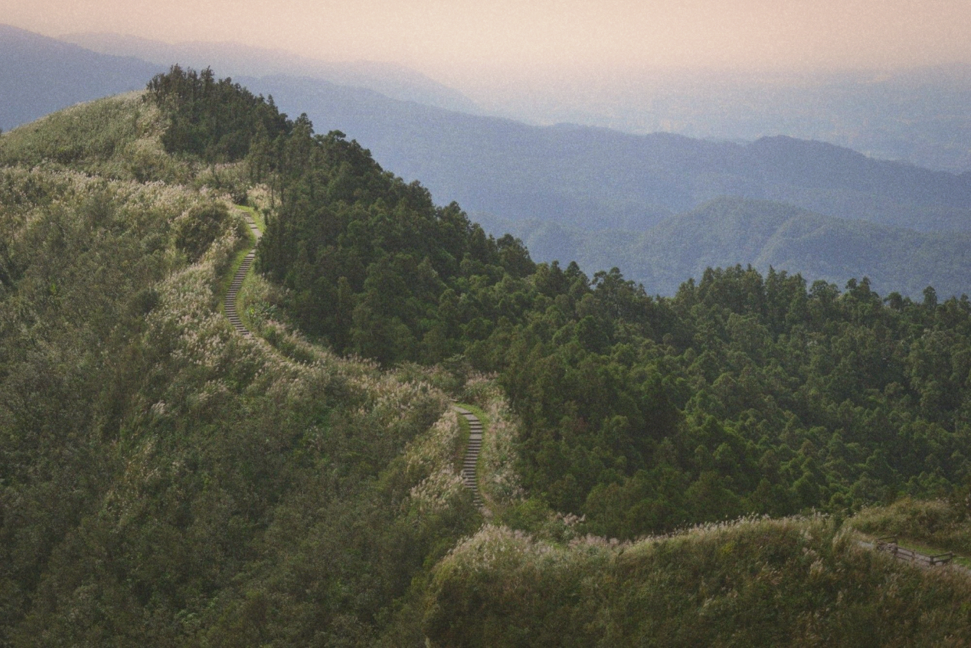 Ridge trail cutting through silvergrass and forest, hazy city skyline on the horizon