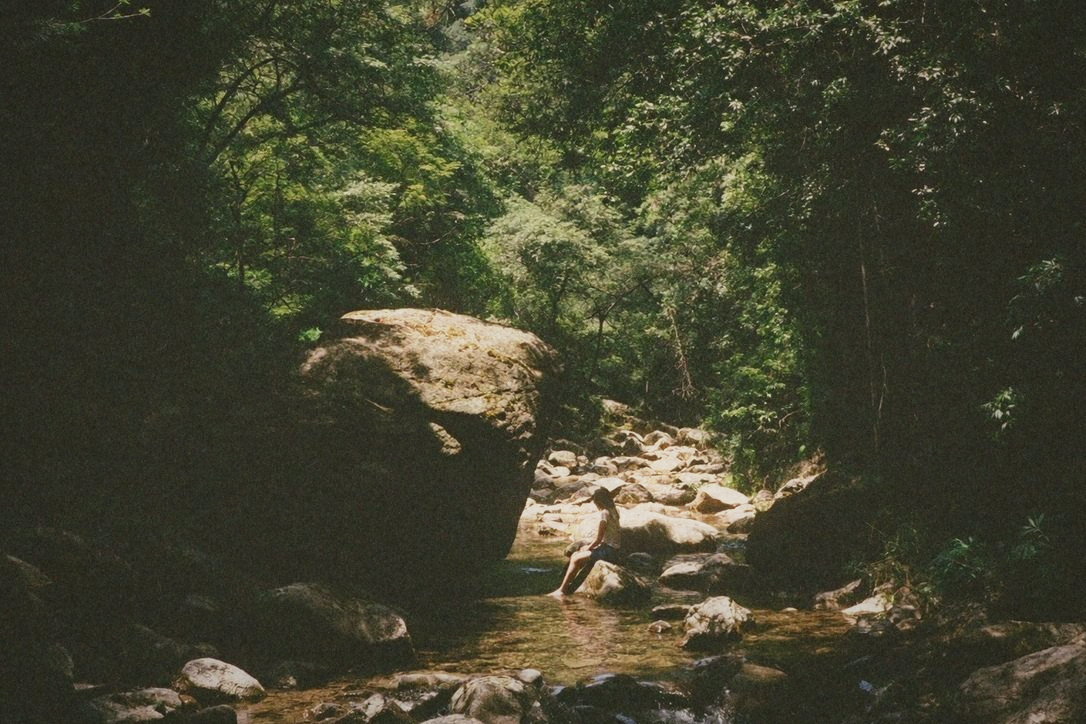 Clear mountain river running through a steep forested valley with mossy boulders and dappled shade on shallow water