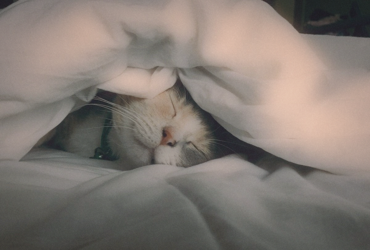 Sleep Optimization: The 12 Rules That Actually Work
