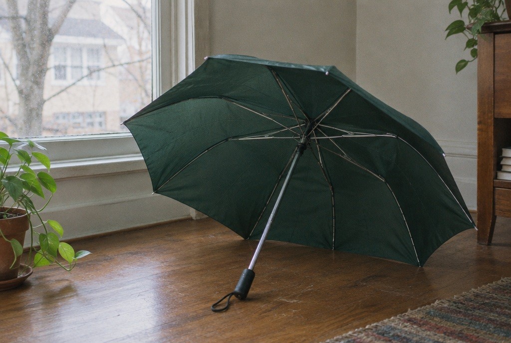 Illustration: An umbrella frame, not a product demonstration.