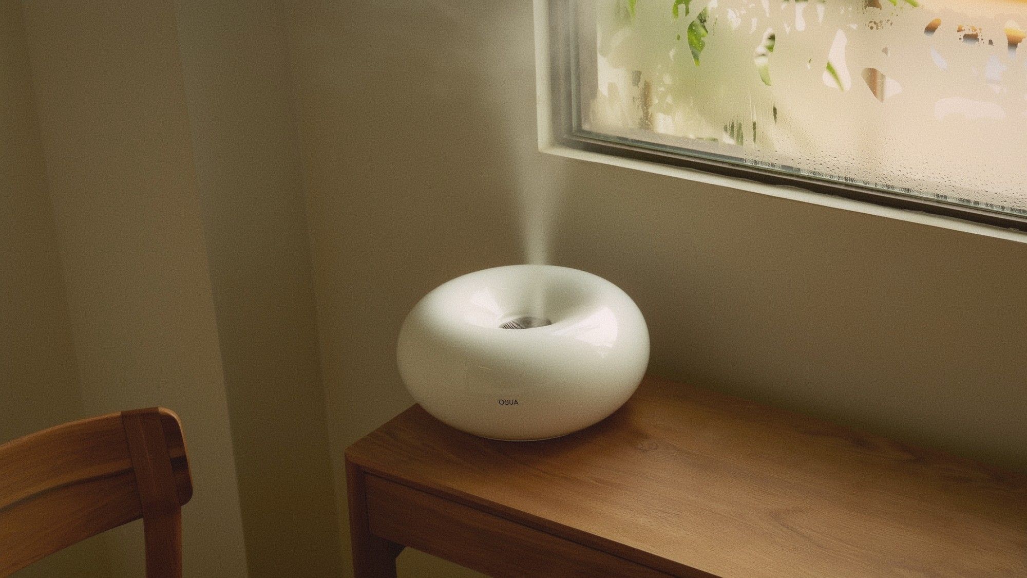 Surviving Taipei Humidity: A Practical Guide