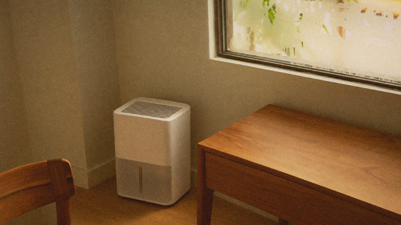 Surviving Taipei Humidity: A Practical Guide