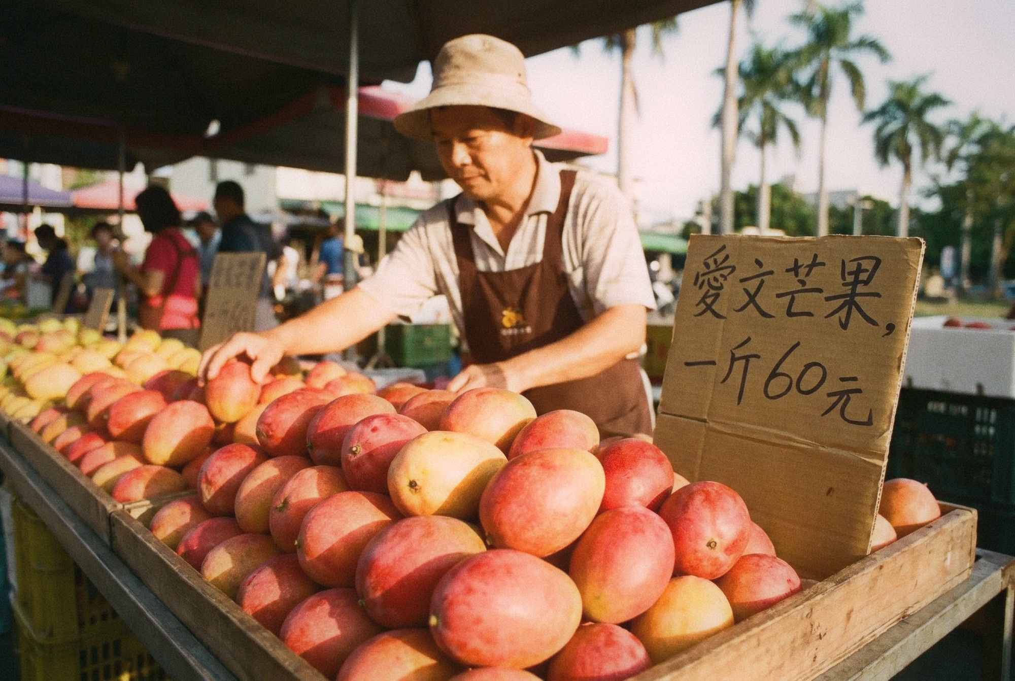 Large pile of ripe Irwin mangoes at a summer fruit stand in southern Taiwan