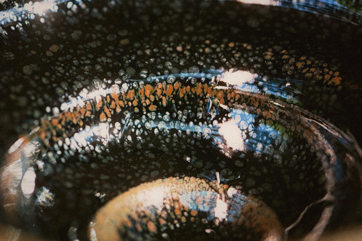 Ceramic tea cups arranged on a weathered wooden surface with soft morning light