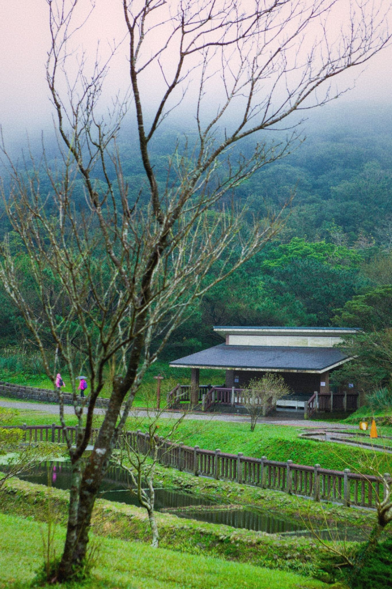 Erziping barrier-free trail through lush green forest