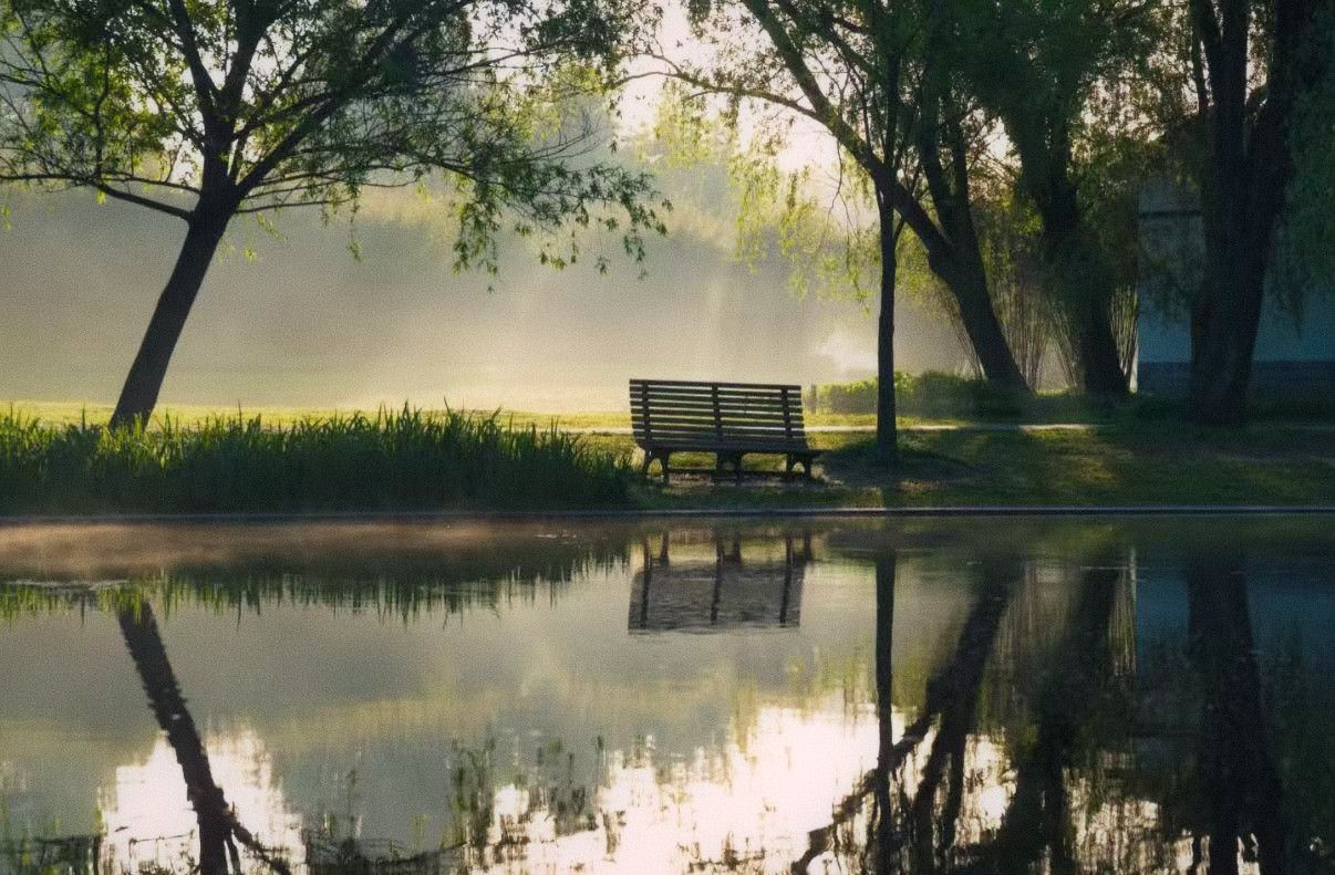 Morning light in an urban park, a bench beside a walking path, trees overhead