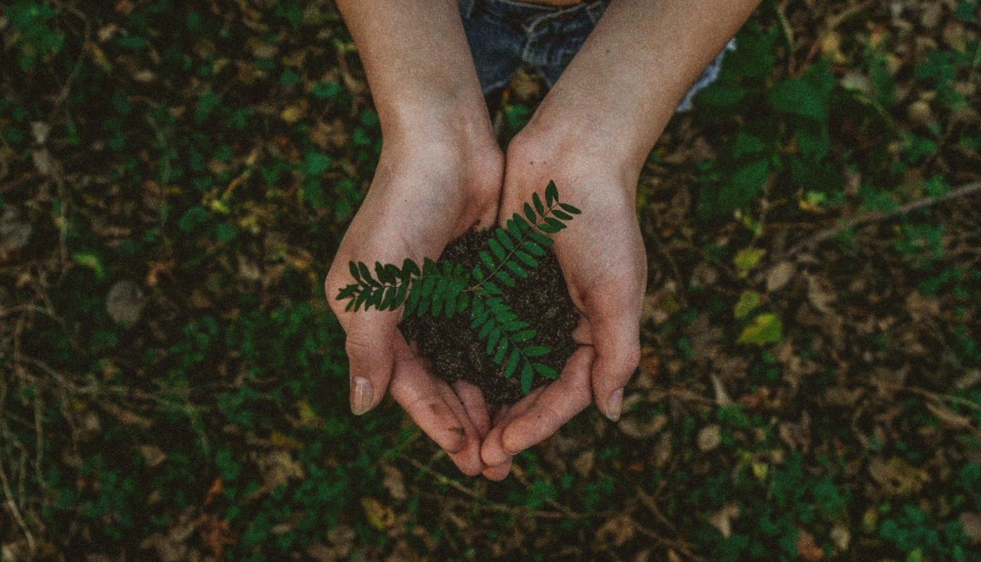 Sustainable Living in Taiwan: A Practical Guide