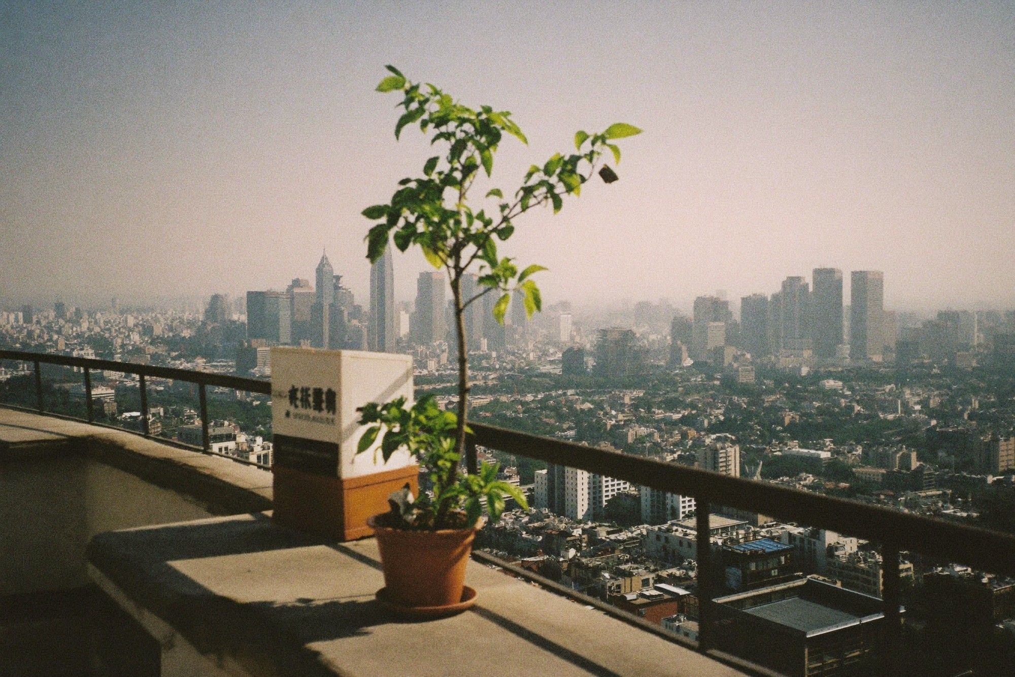 Hazy Taipei skyline