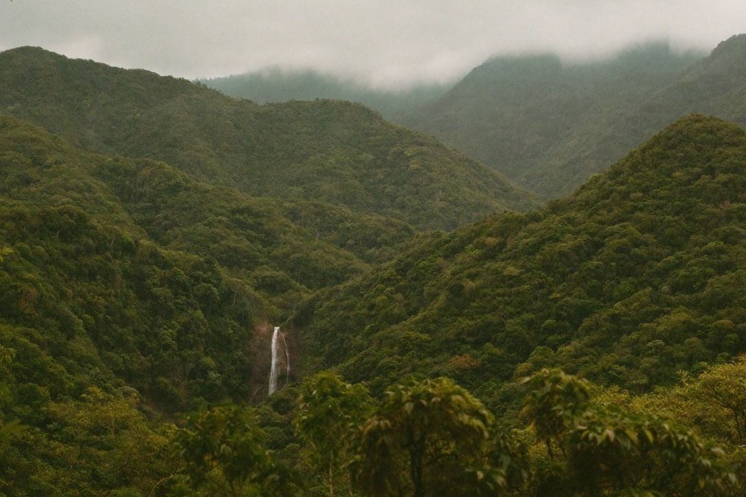 Escaping Taipei's Heat: Day Trips Where It Is Actually Cooler