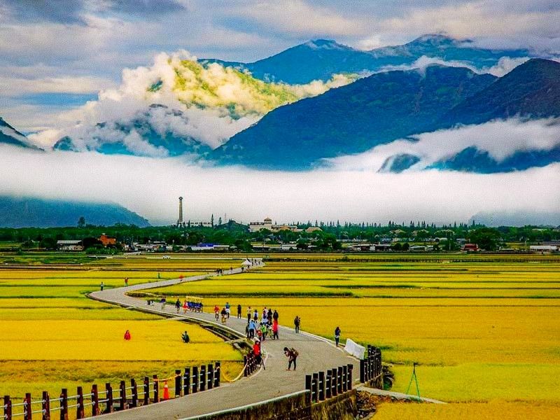 Rice paddies stretching toward green mountains under a wide sky in Chishang