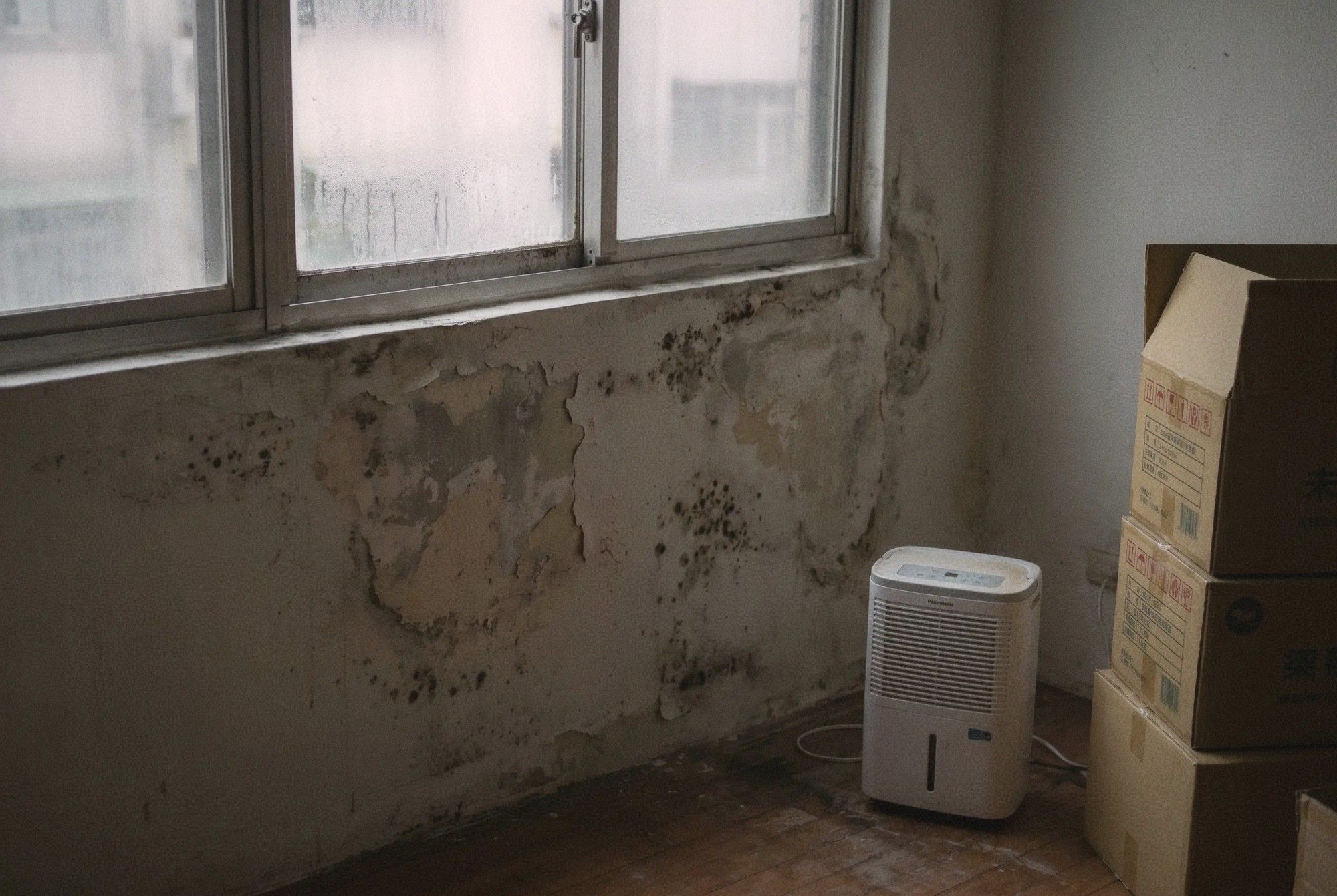 Taipei apartment corner showing moisture damage on wall