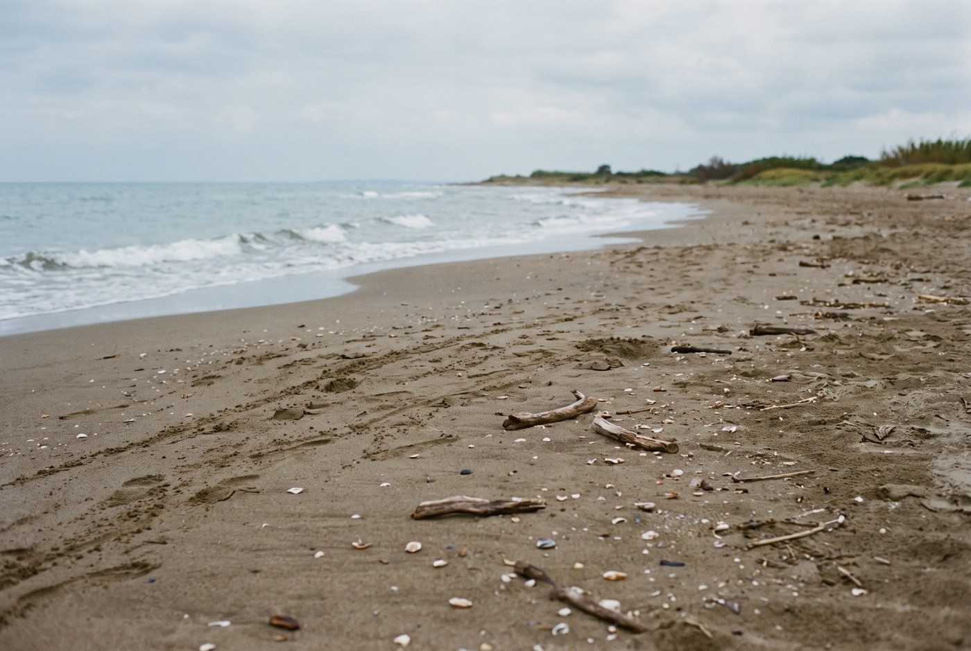 Illustration: Footprints and small waves on a quiet sandy beach.