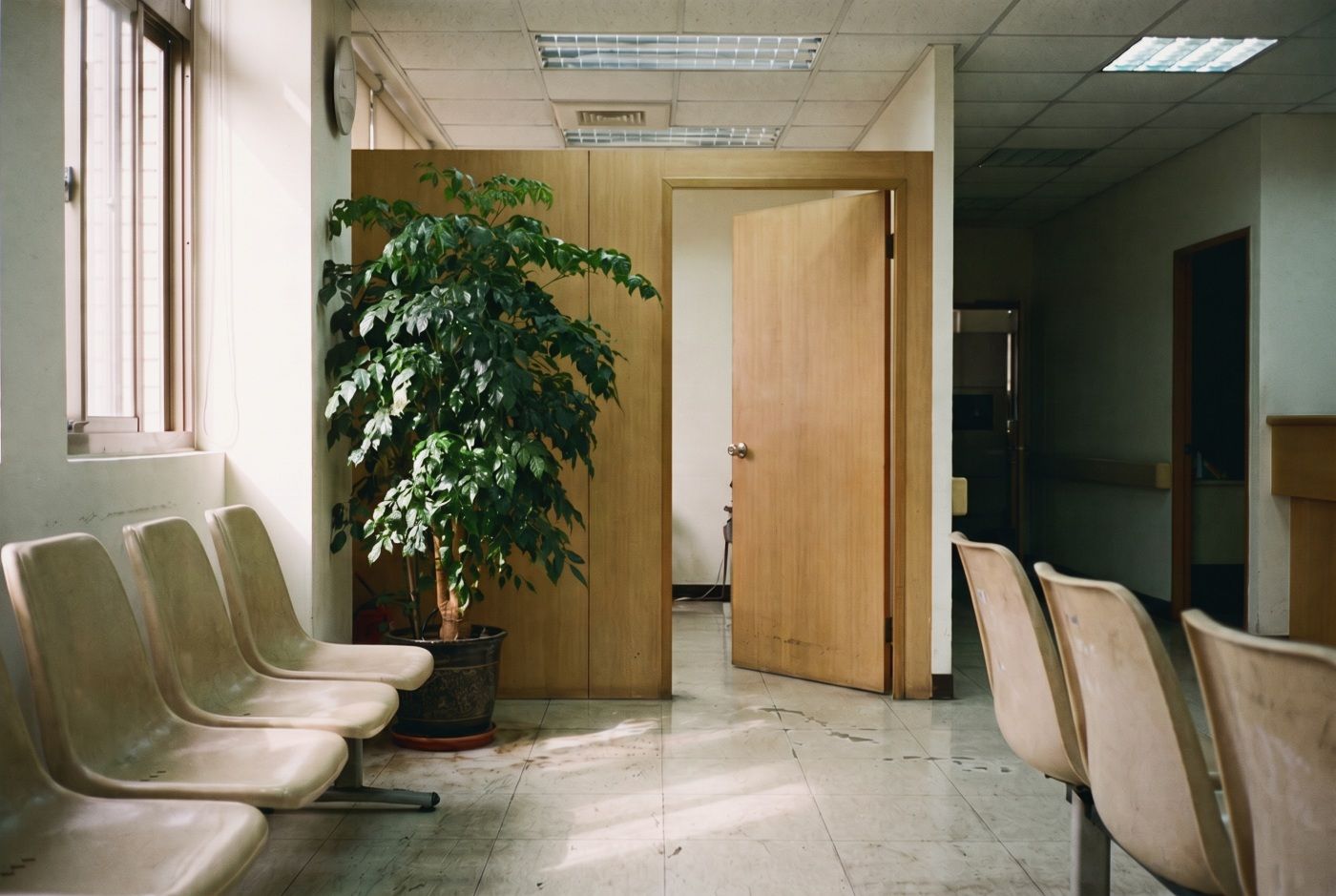 Taipei Healthcare: How to See a Doctor, Get TCM, and Use Your NHI Card
