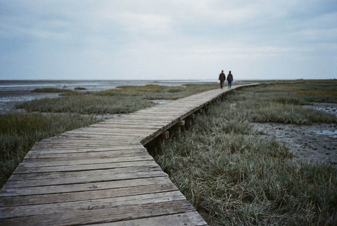 Illustration: Walkers on a wetland boardwalk