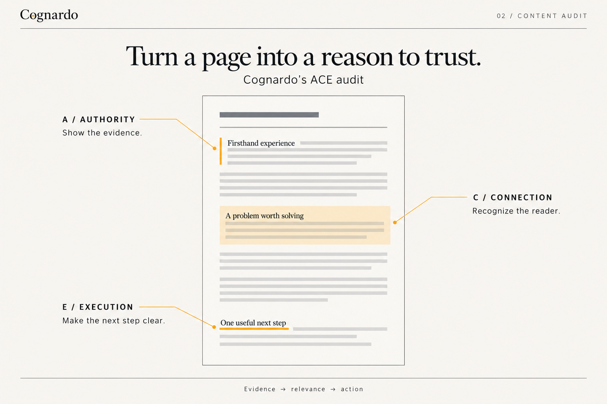 ACE Content Audit