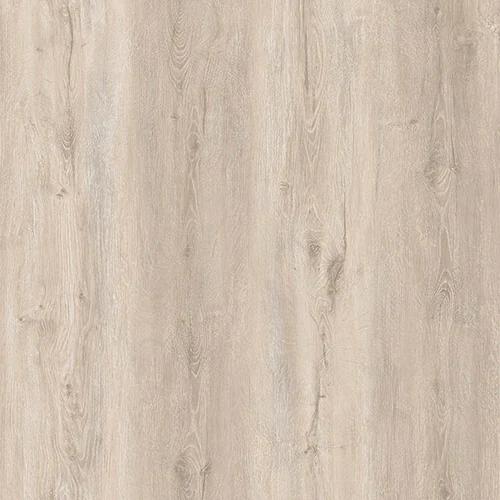 Kakadu plank decor