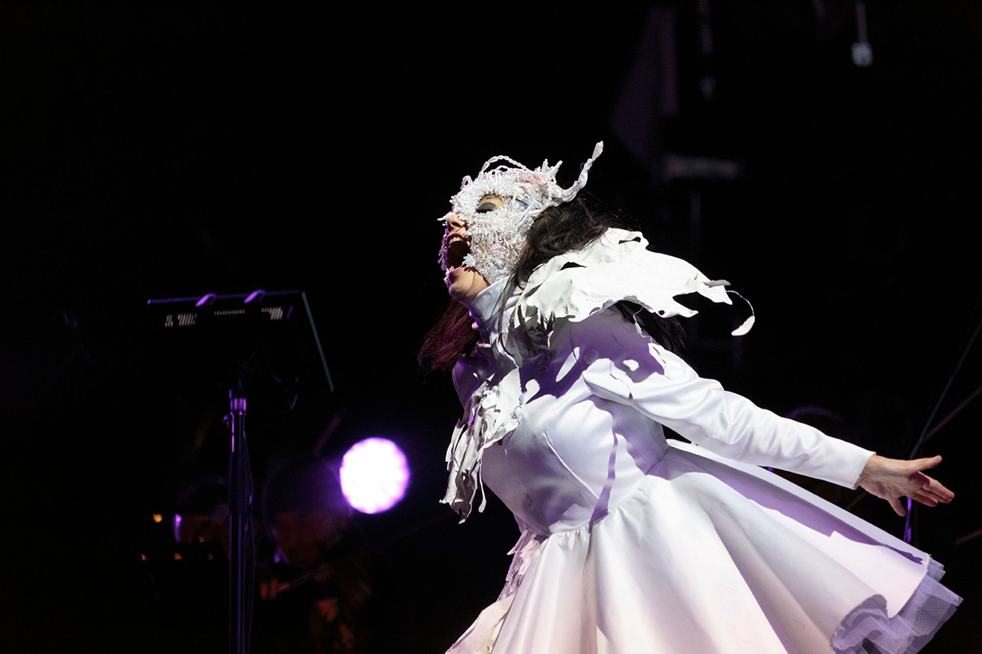 Photo of Björk performing live on stage, photographed by Alan Cortés