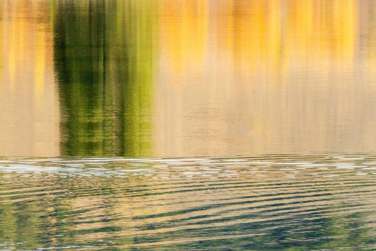Herbstliche Bäume spiegeln sich in Wasser